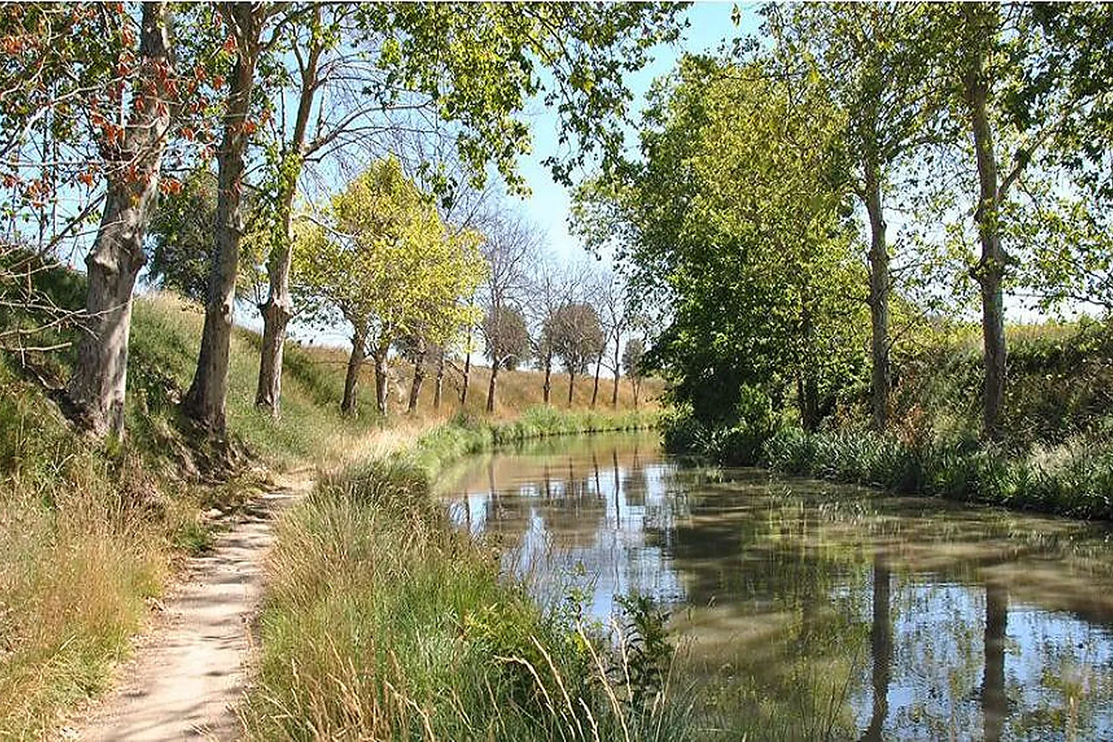 Lieux événementiels, LES BATEAUX DU MIDI