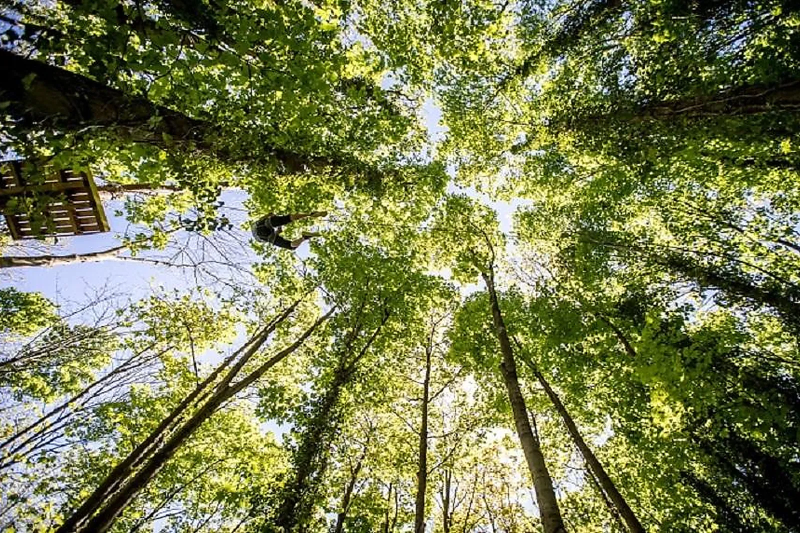 Lieux événementiels, LES BERGES DE LA SAÔNE
