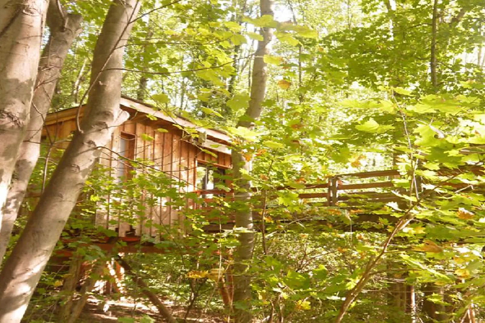 Lieux événementiels, LES BERGES DE LA SAÔNE