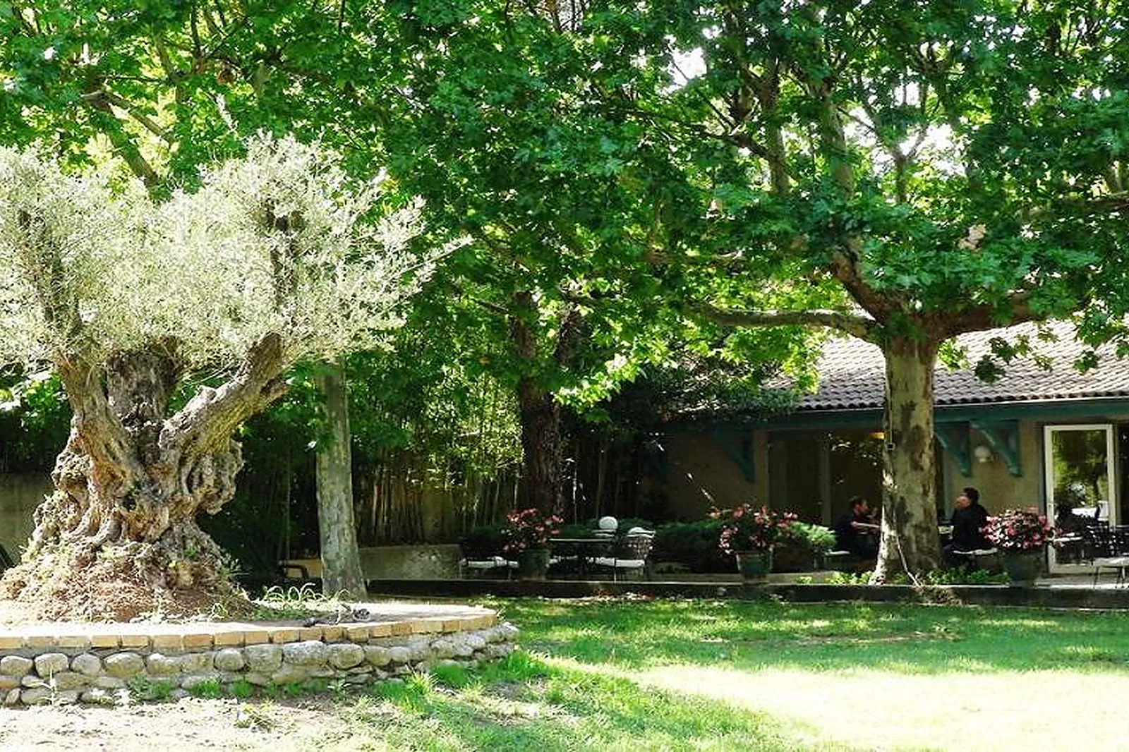 Lieux événementiels, LES OLIVIERS