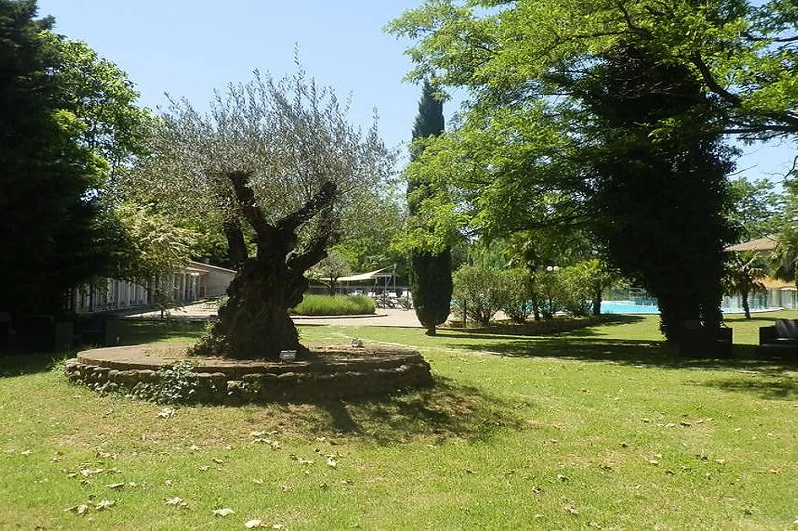 Lieux événementiels, LES OLIVIERS