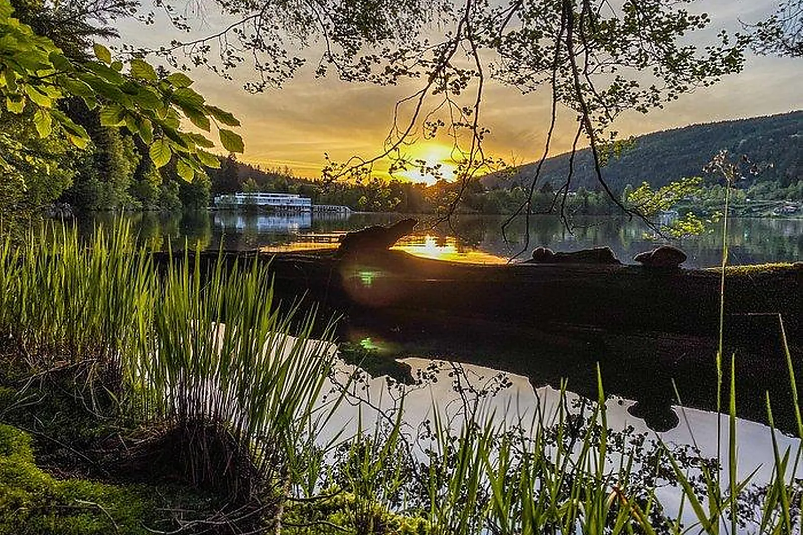 Lieux événementiels, LIDO APPART'HÔTEL