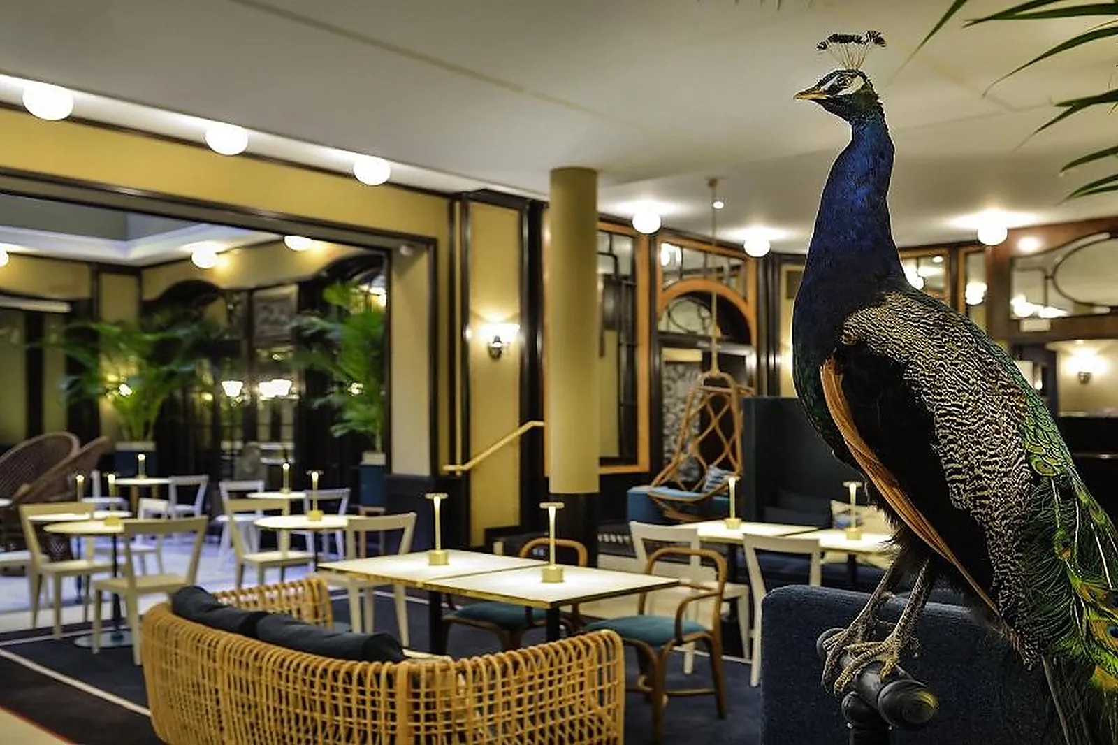 Lieux événementiels, MGALLERY L'ECHIQUIER OPÉRA PARIS - MGALLERY COLLECTION