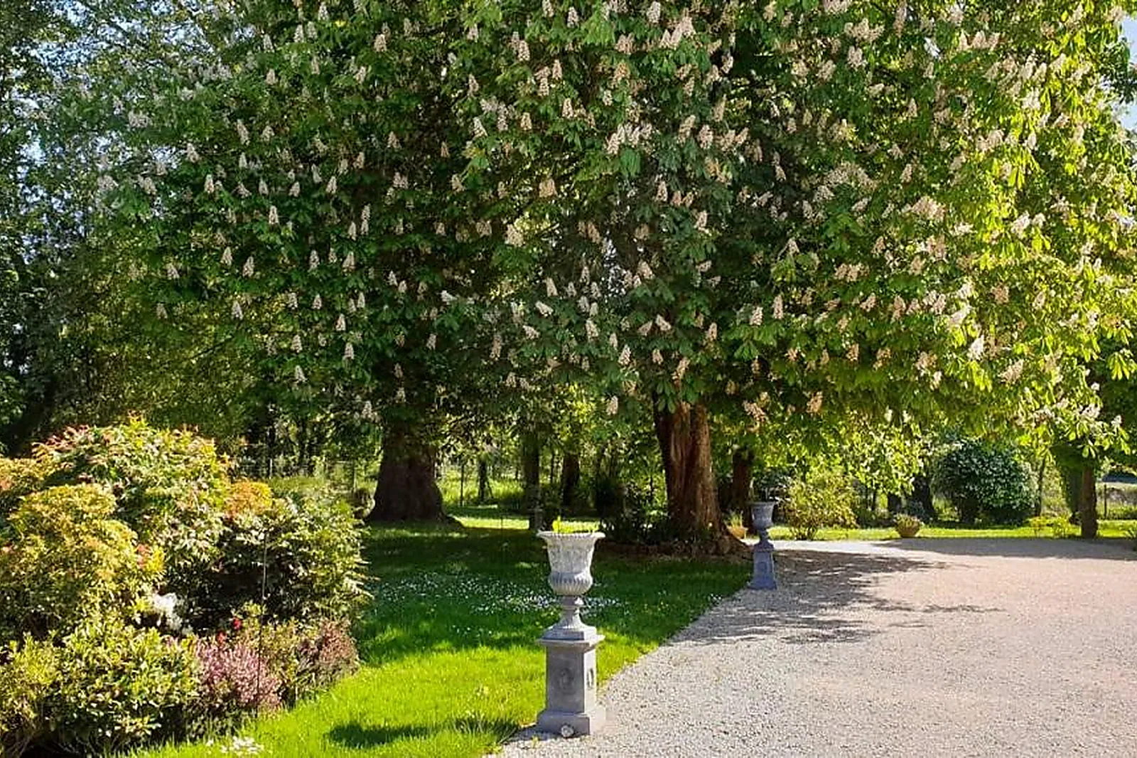 Lieux événementiels, MANOIR DE TIGEAUX