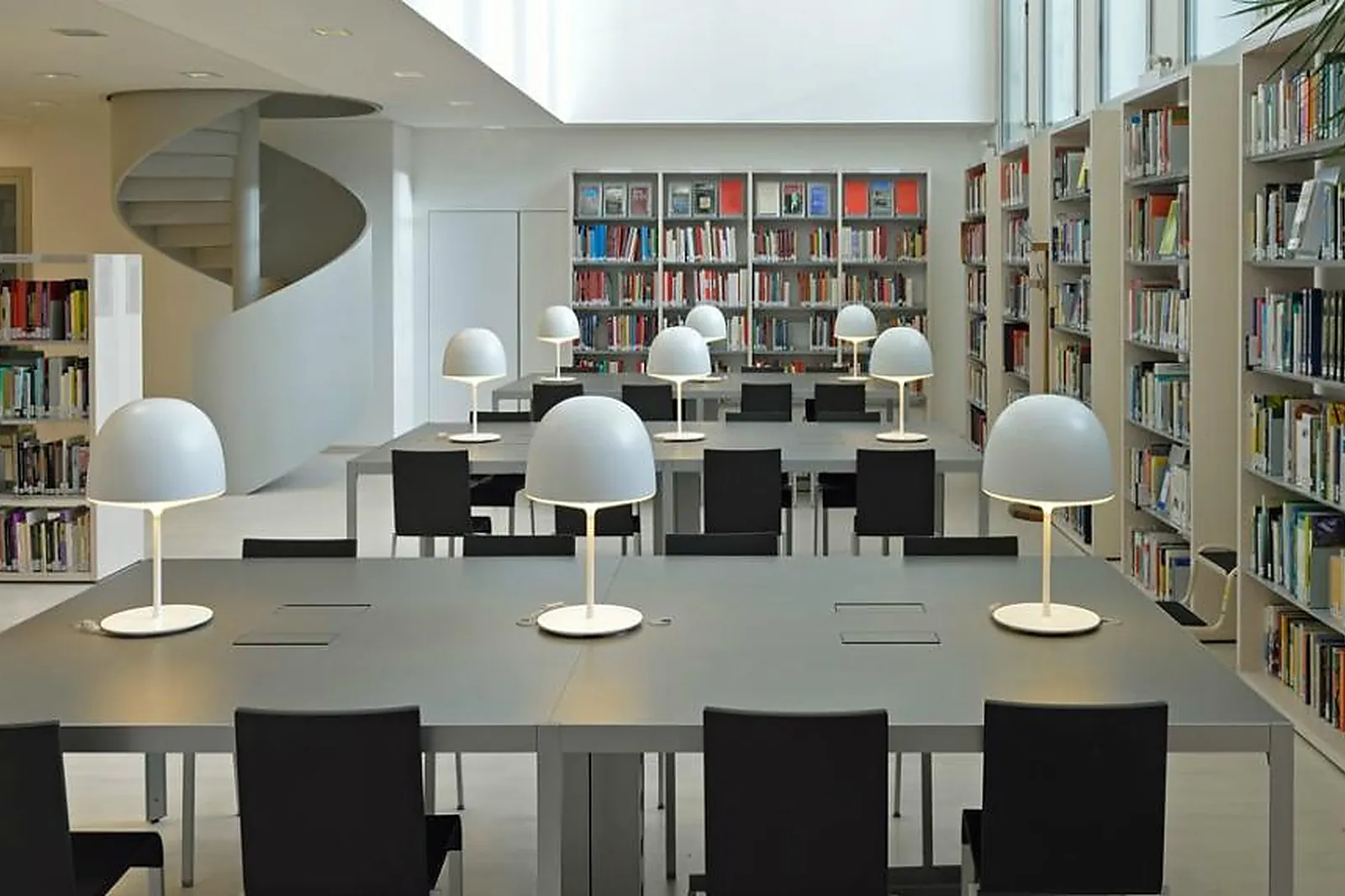 Lieux événementiels, MUSÉE DE L'HOMME