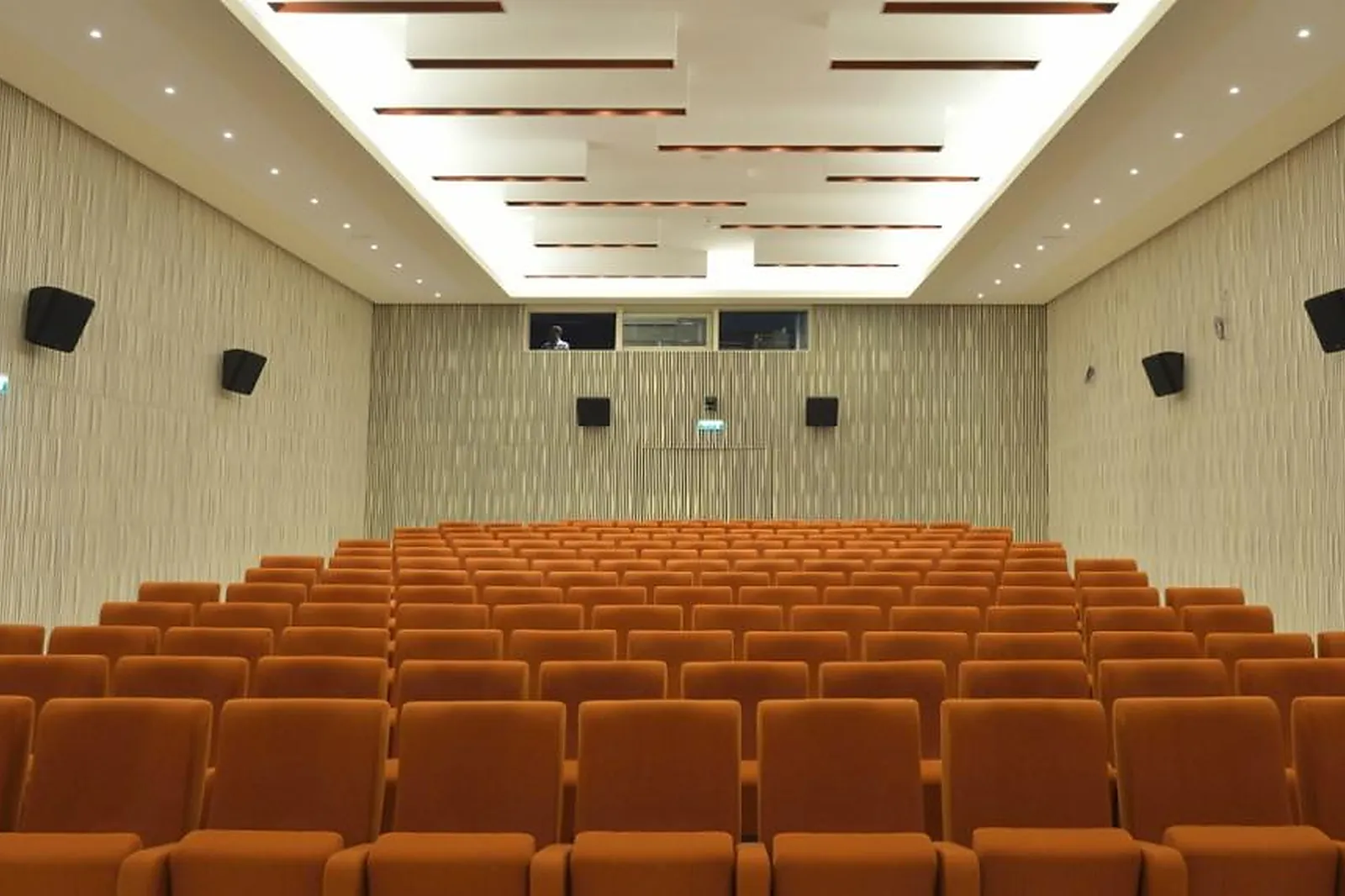 Lieux événementiels, MUSÉE DE L'HOMME