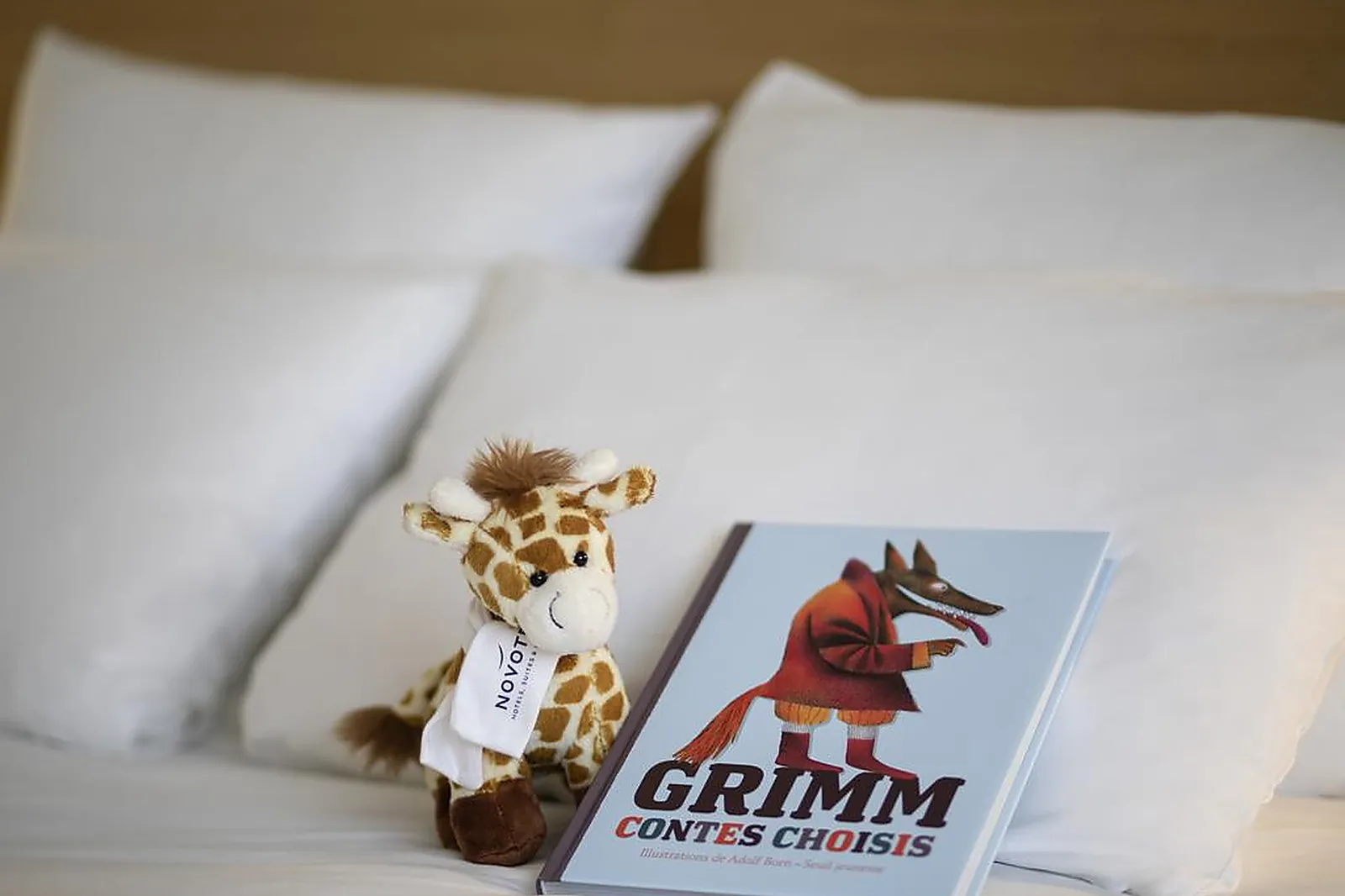 Hôtel, NOVOTEL GENÈVE AÉROPORT