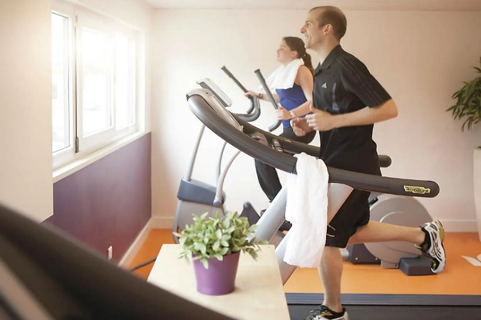 Hôtel, NOVOTEL MARNE LA VALLÉE COLLÉGIEN