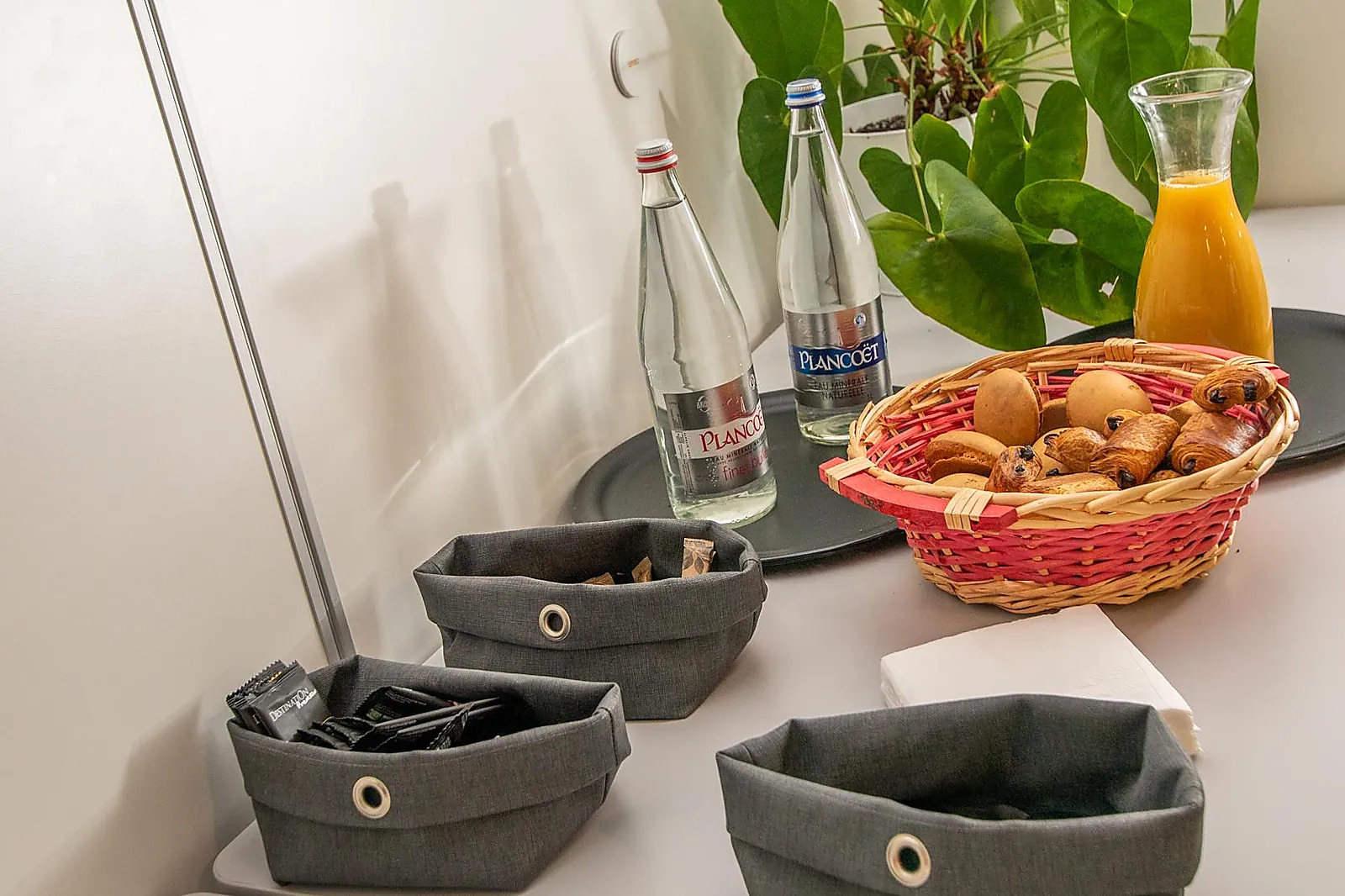 Lieux événementiels, PARC ANIMALIER ET BOTANIQUE DE BRANFÉRÉ