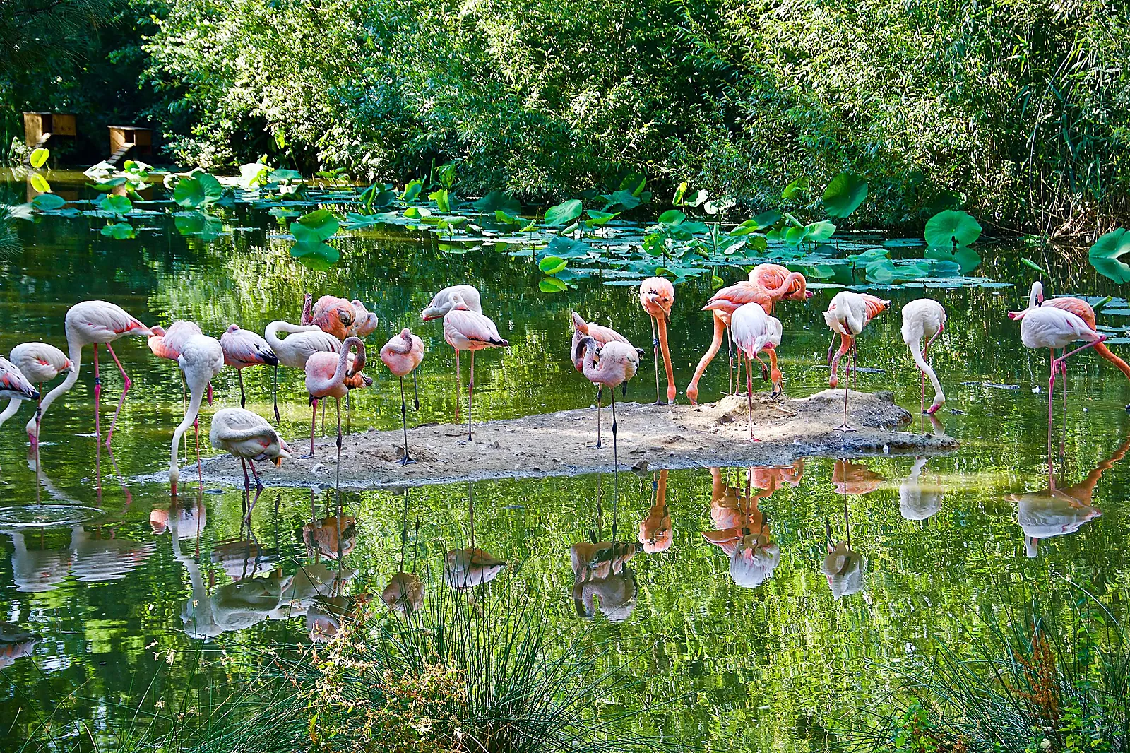 Lieux événementiels, PARC ANIMALIER ET BOTANIQUE DE BRANFÉRÉ