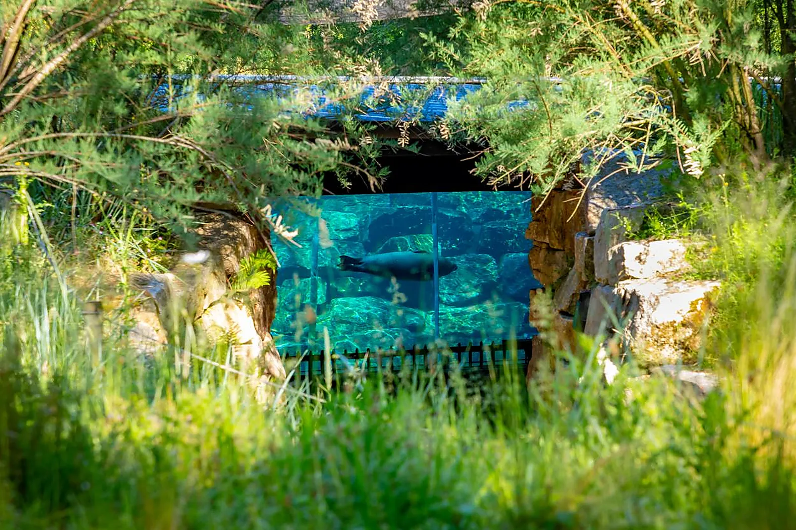 Lieux événementiels, PARC ANIMALIER ET BOTANIQUE DE BRANFÉRÉ