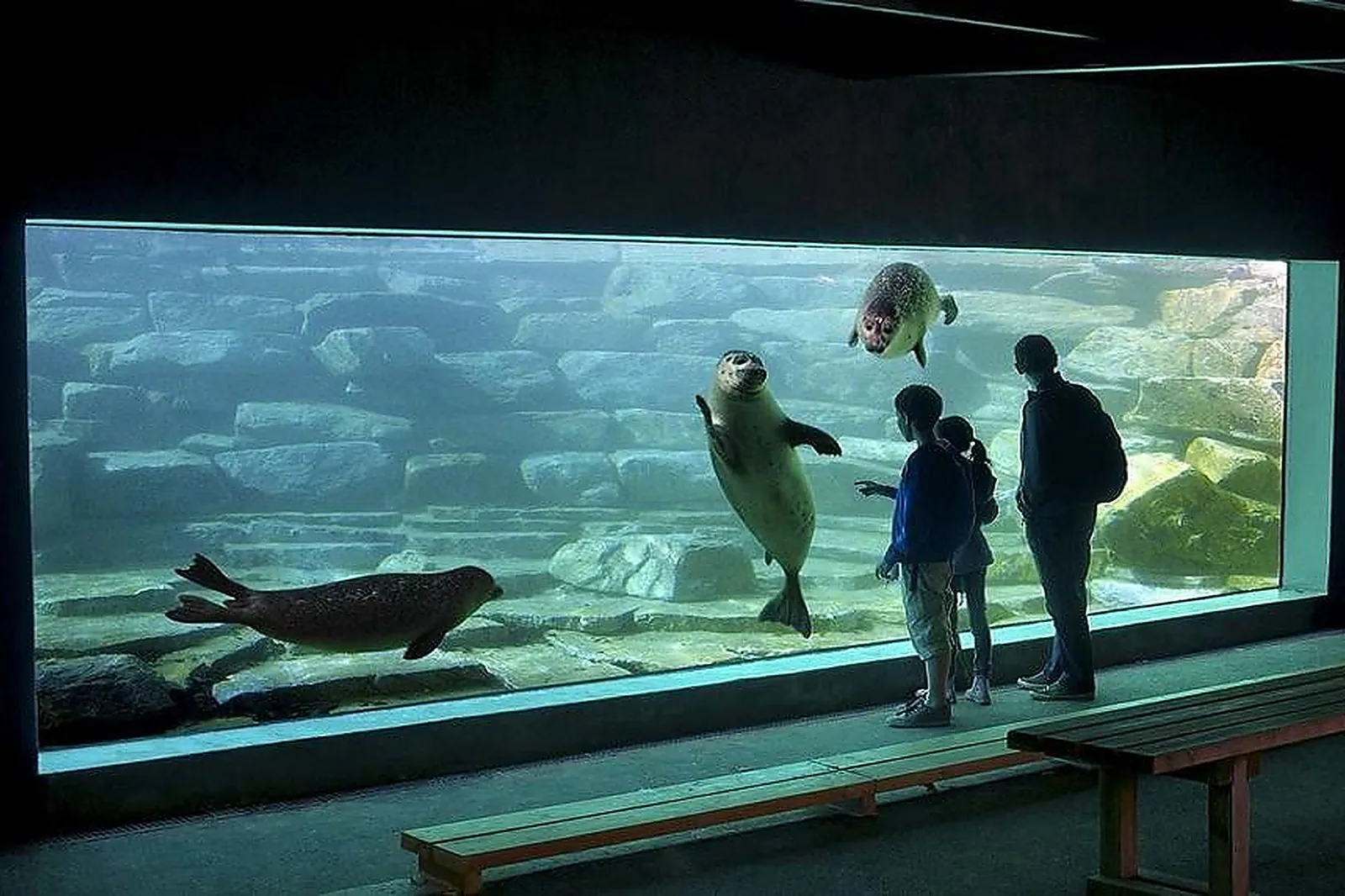 Lieux événementiels, PARC ANIMALIER ET BOTANIQUE DE BRANFÉRÉ