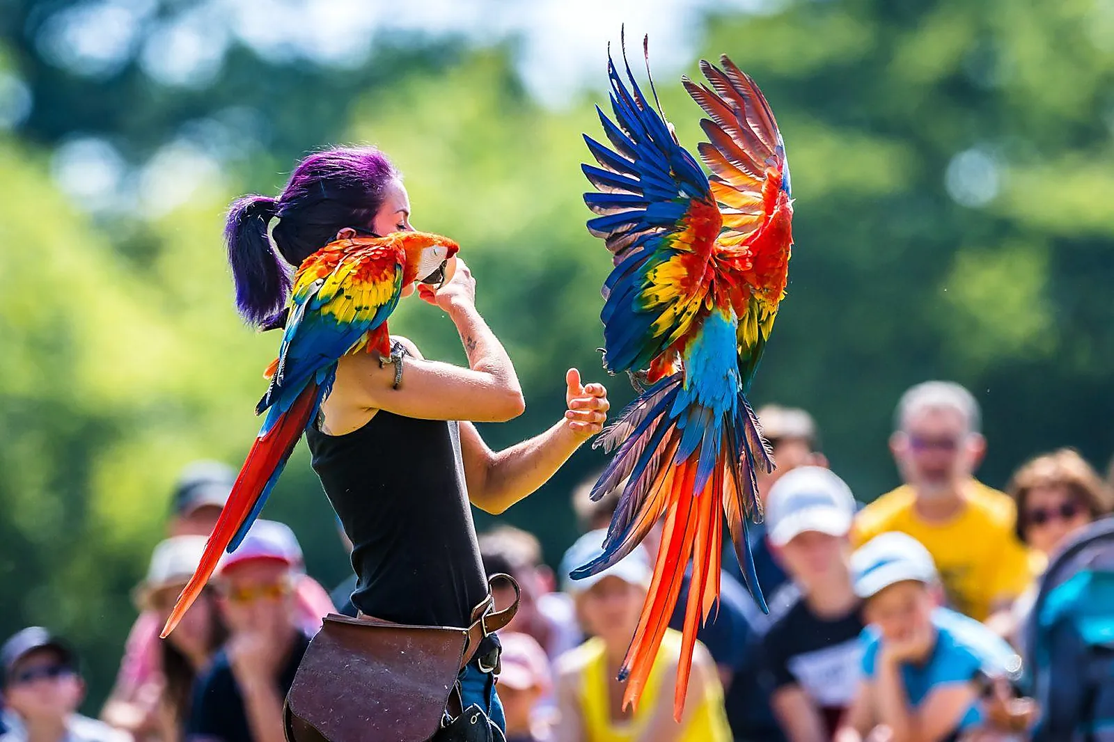 Lieux événementiels, PARC ANIMALIER ET BOTANIQUE DE BRANFÉRÉ