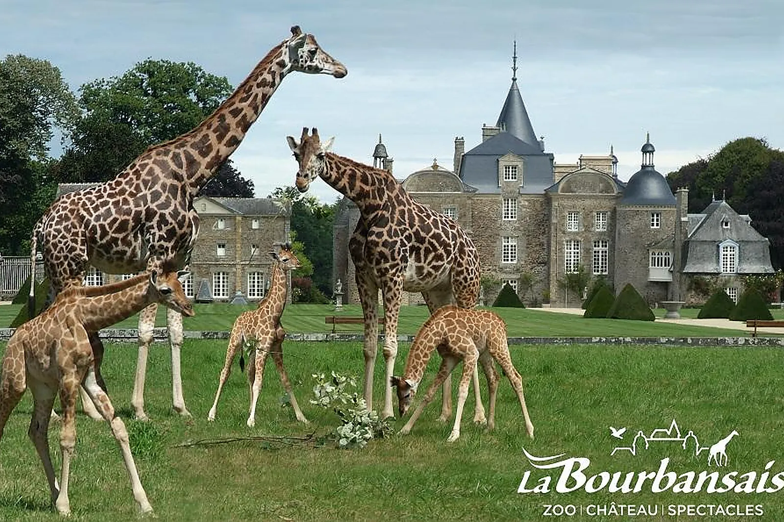 Lieux événementiels, PARC ZOOLOGIQUE & CHÂTEAU DE LA BOURBANSAIS