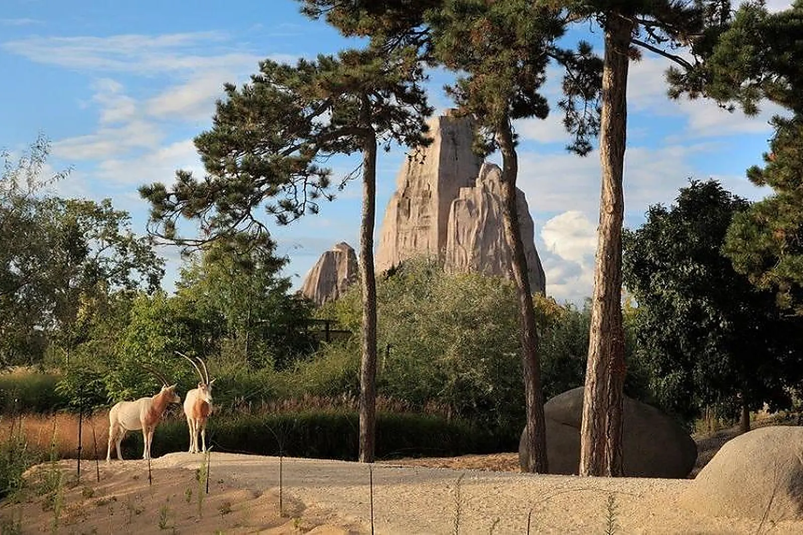 Lieu atypique, PARC ZOOLOGIQUE DE PARIS