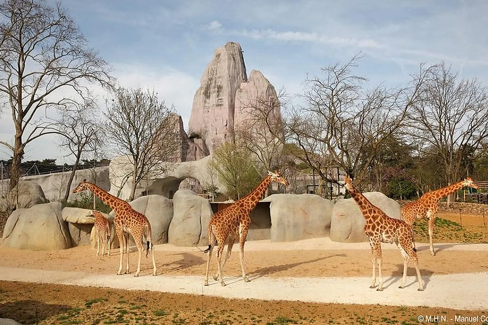 Lieu atypique, PARC ZOOLOGIQUE DE PARIS