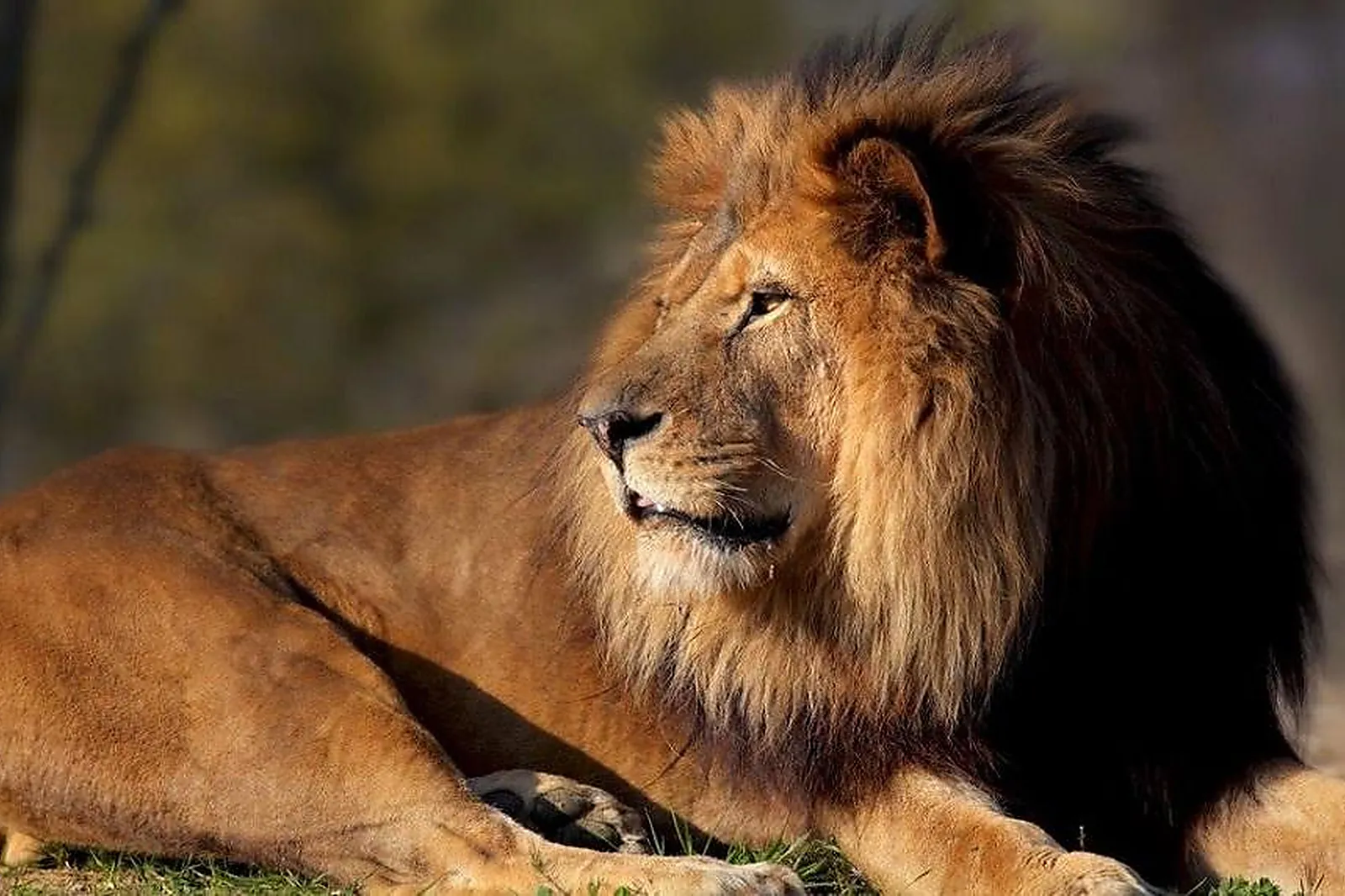 Lieu atypique, PARC ZOOLOGIQUE DE PARIS