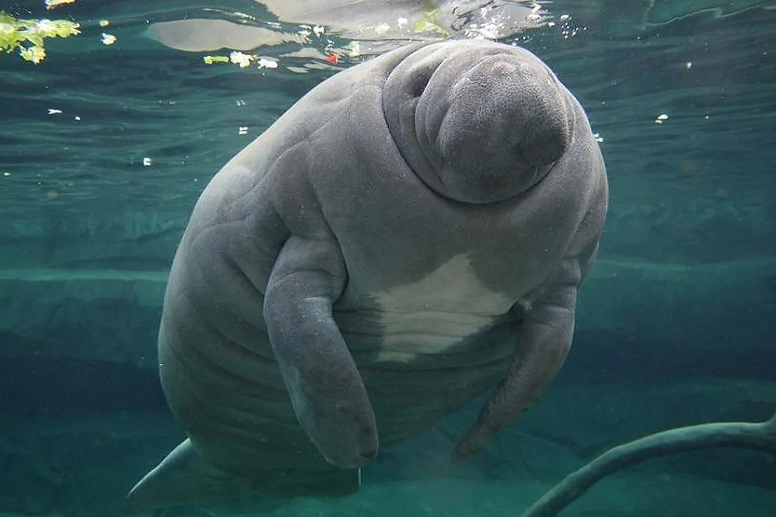 Lieu atypique, PARC ZOOLOGIQUE DE PARIS