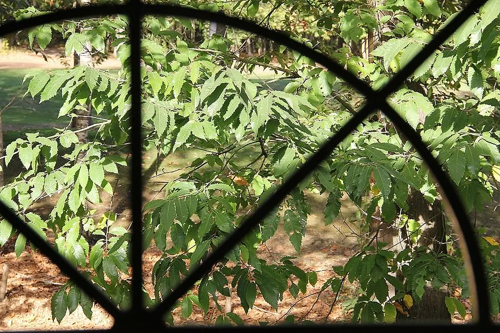 Lieux événementiels, RESTAURANT DU GOLF DE MARIVAUX