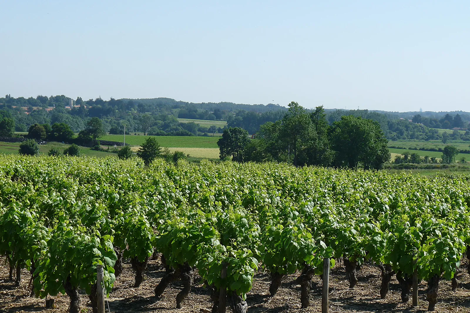 Lieux événementiels, RESTAURANT L'AUBERGE DU PAYS DE RETZ