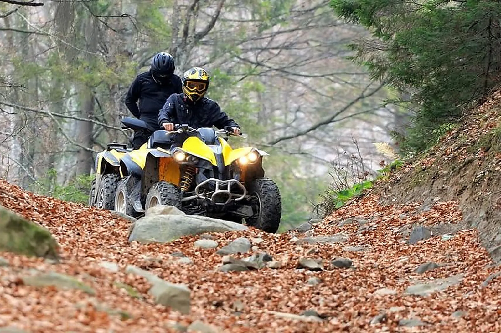 Lieux événementiels, SHERWOOD PARC