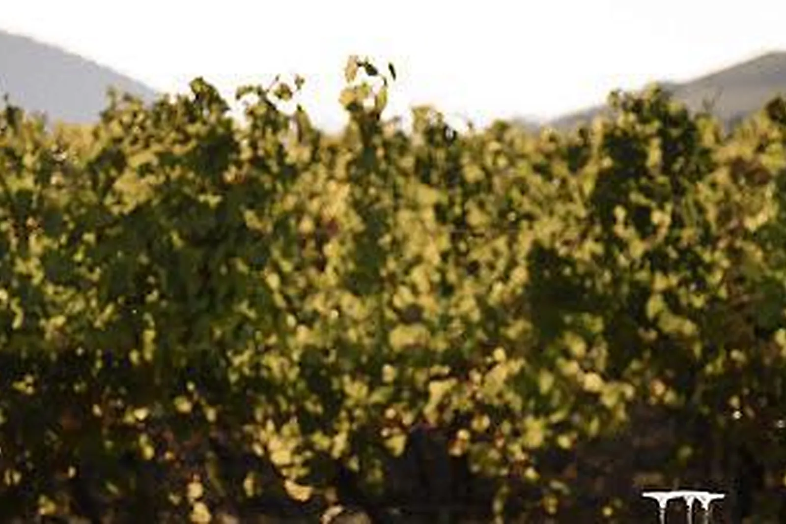 Lieux événementiels, ACHILLÉE