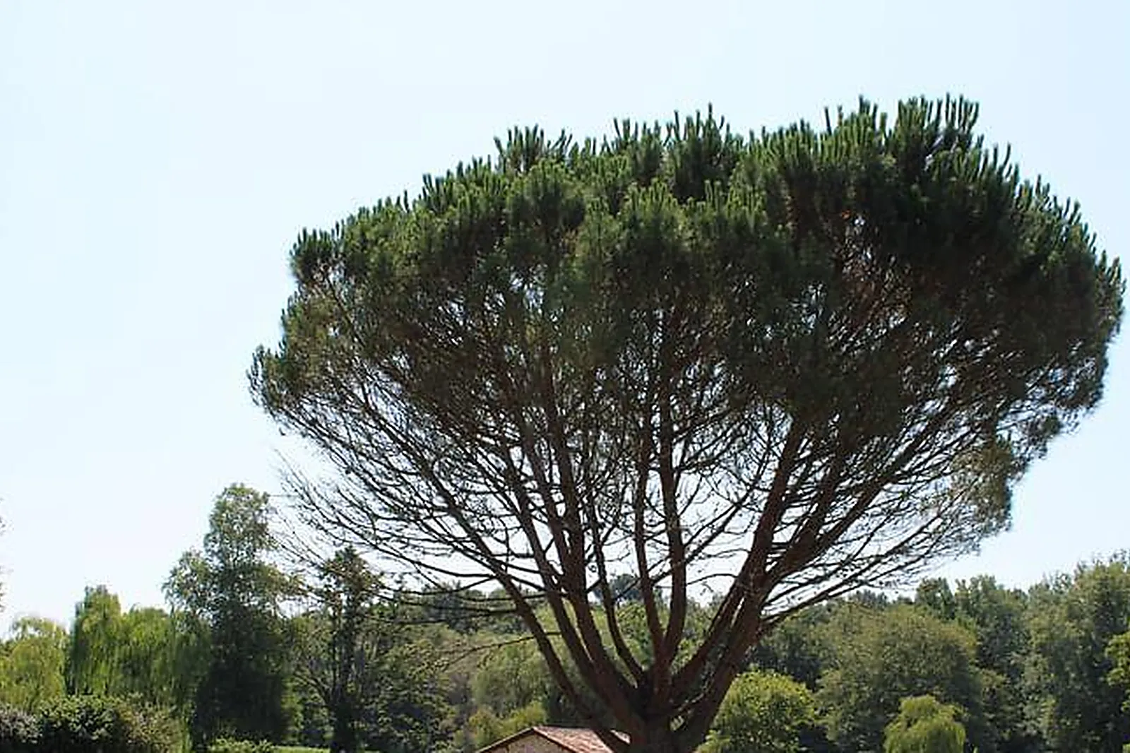Lieux événementiels, LES JARDINS D'OLÉRON