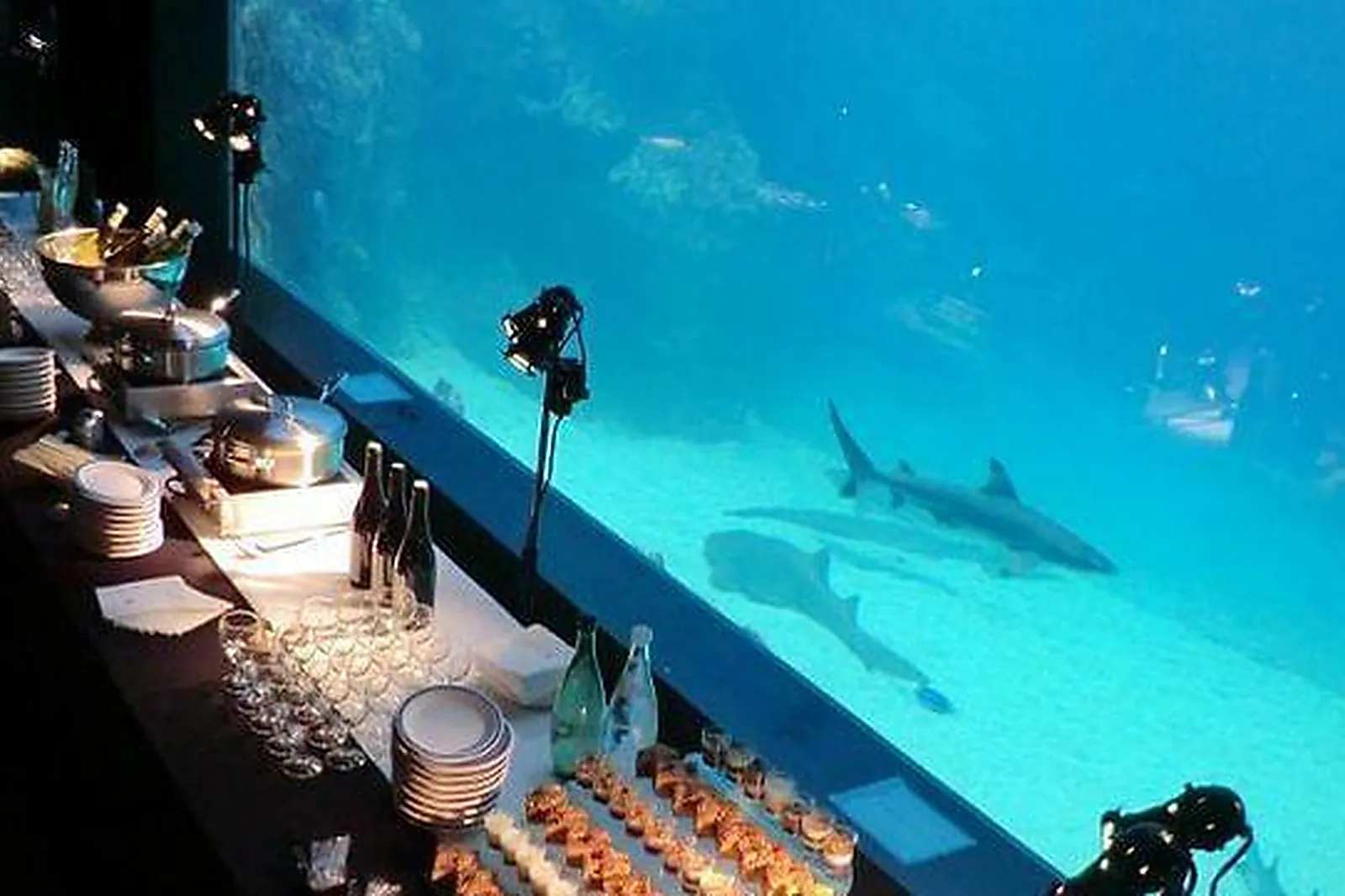 Lieux événementiels, AQUARIUM DE LYON