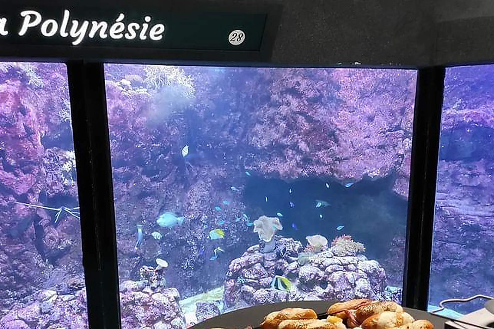 Lieux événementiels, AQUARIUM DE LYON