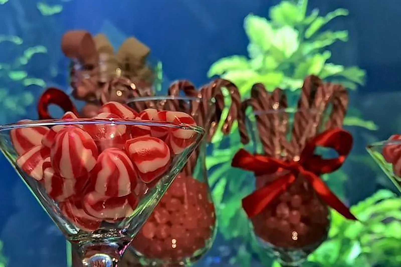 Lieux événementiels, AQUARIUM DE LYON