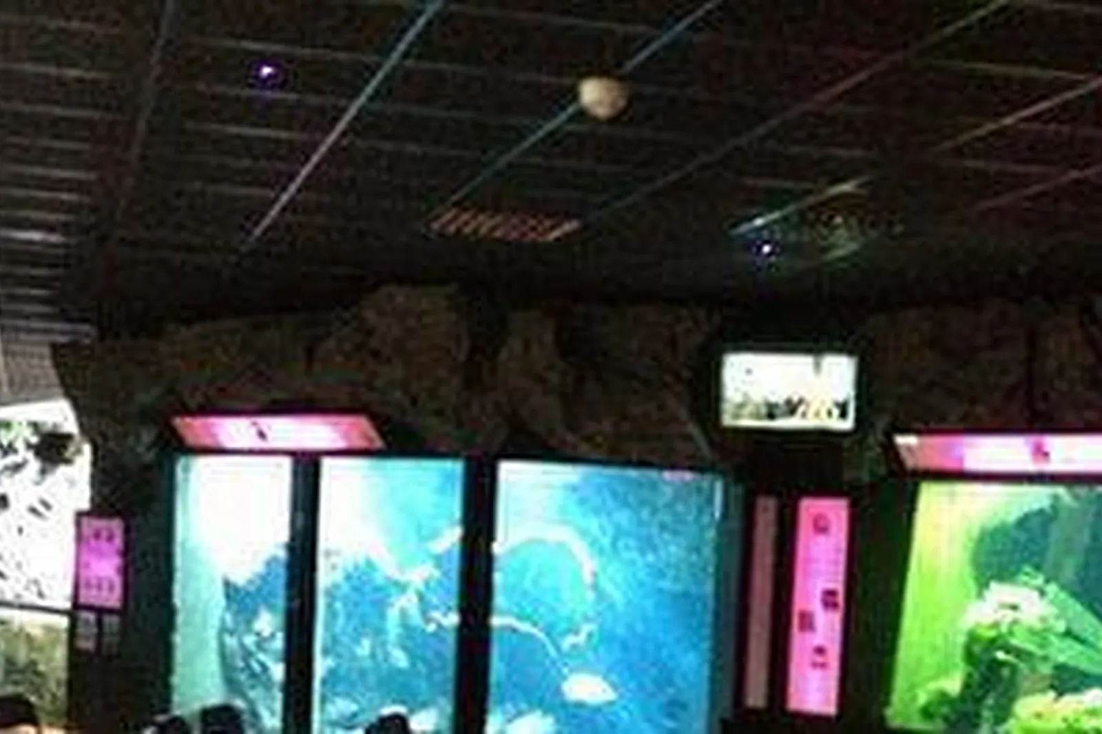 Lieux événementiels, AQUARIUM DE LYON