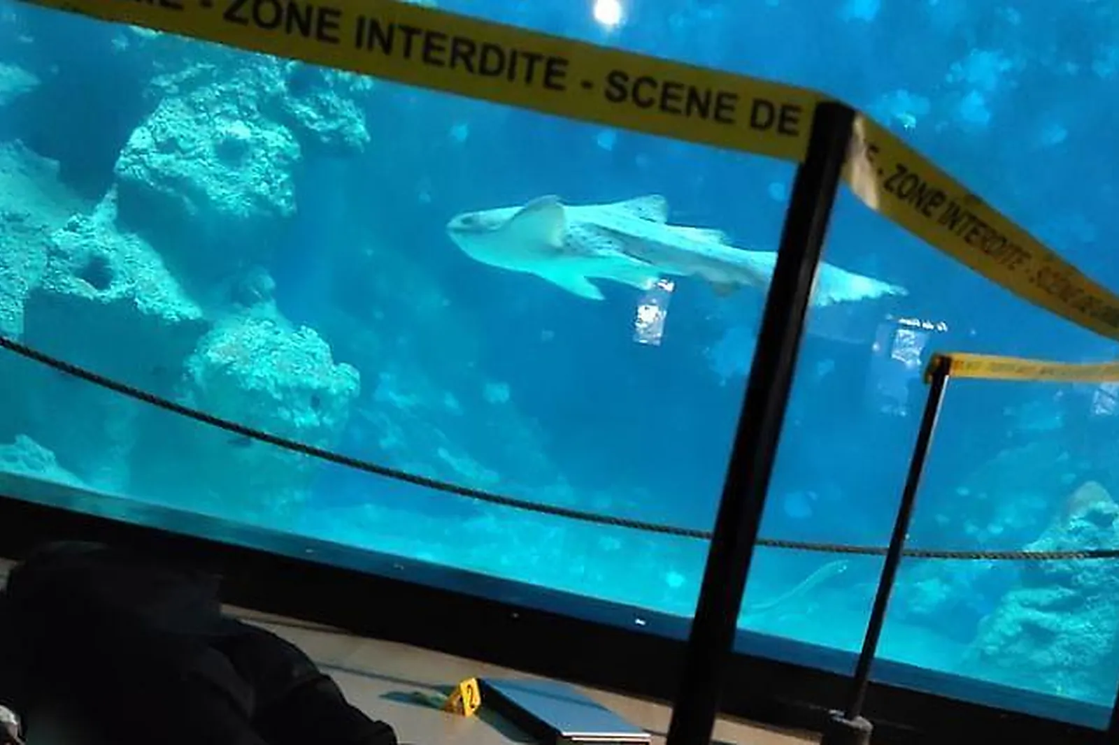 Lieux événementiels, AQUARIUM DE LYON