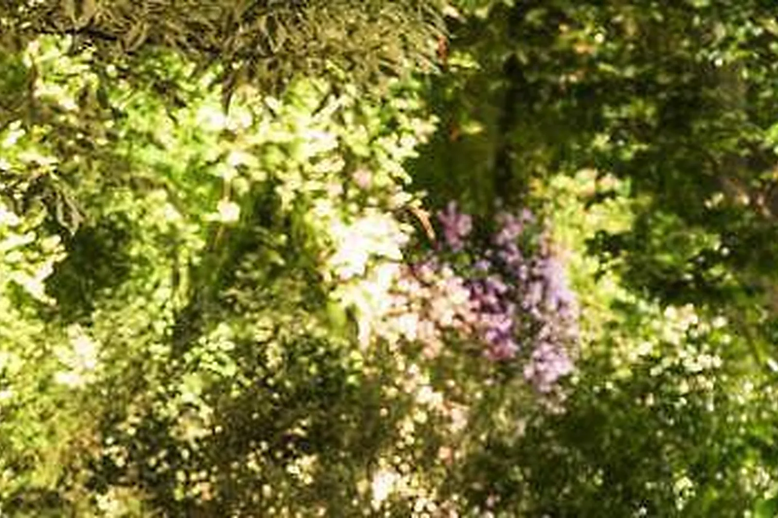 Lieux événementiels, ATELIER H