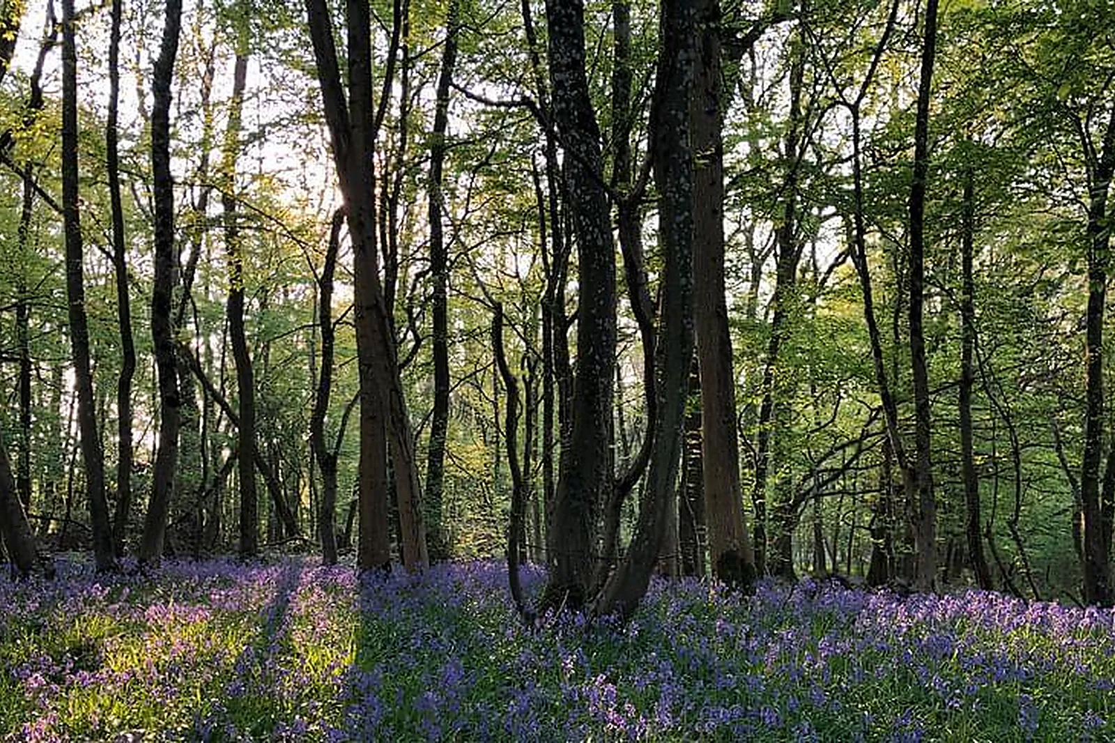 Lieux événementiels, AU COEUR DU DOMAINE