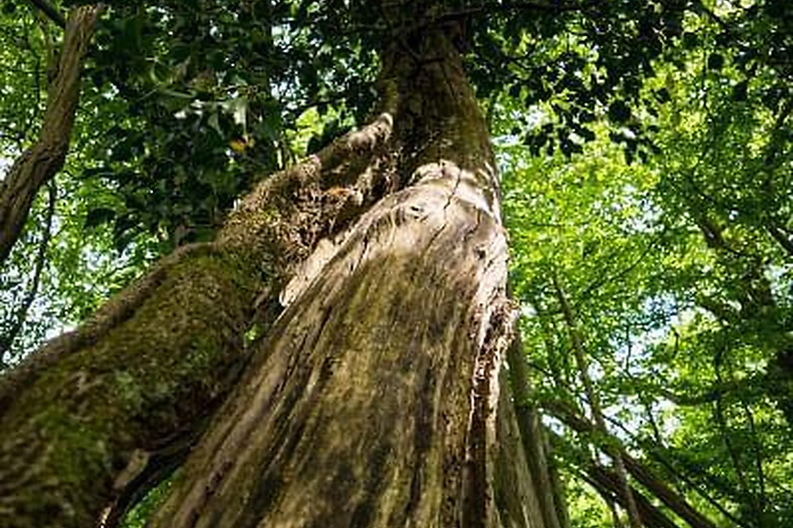 Lieux événementiels, AU COEUR DU DOMAINE