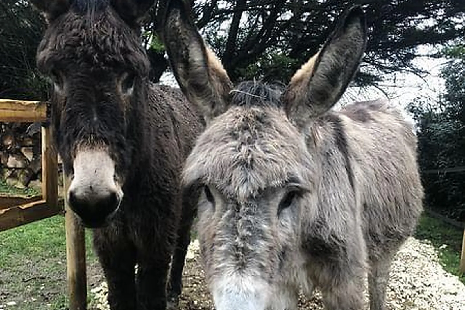 Lieux événementiels, AU COEUR DU DOMAINE