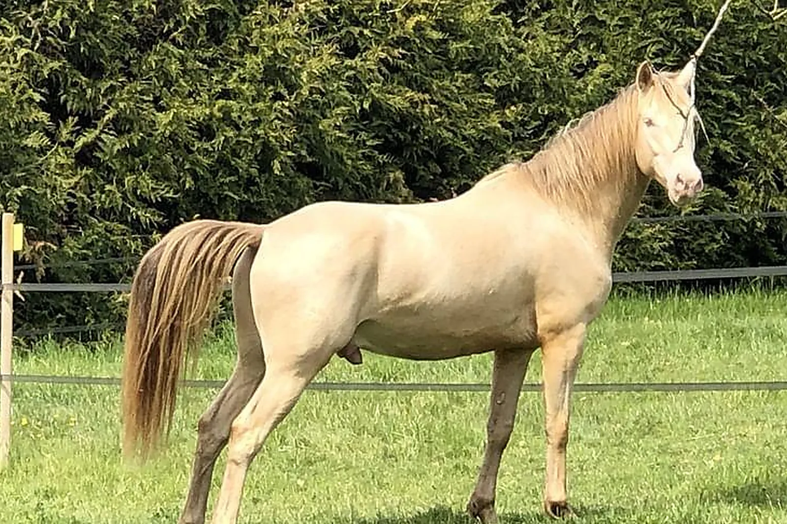 Lieux événementiels, AU COEUR DU DOMAINE
