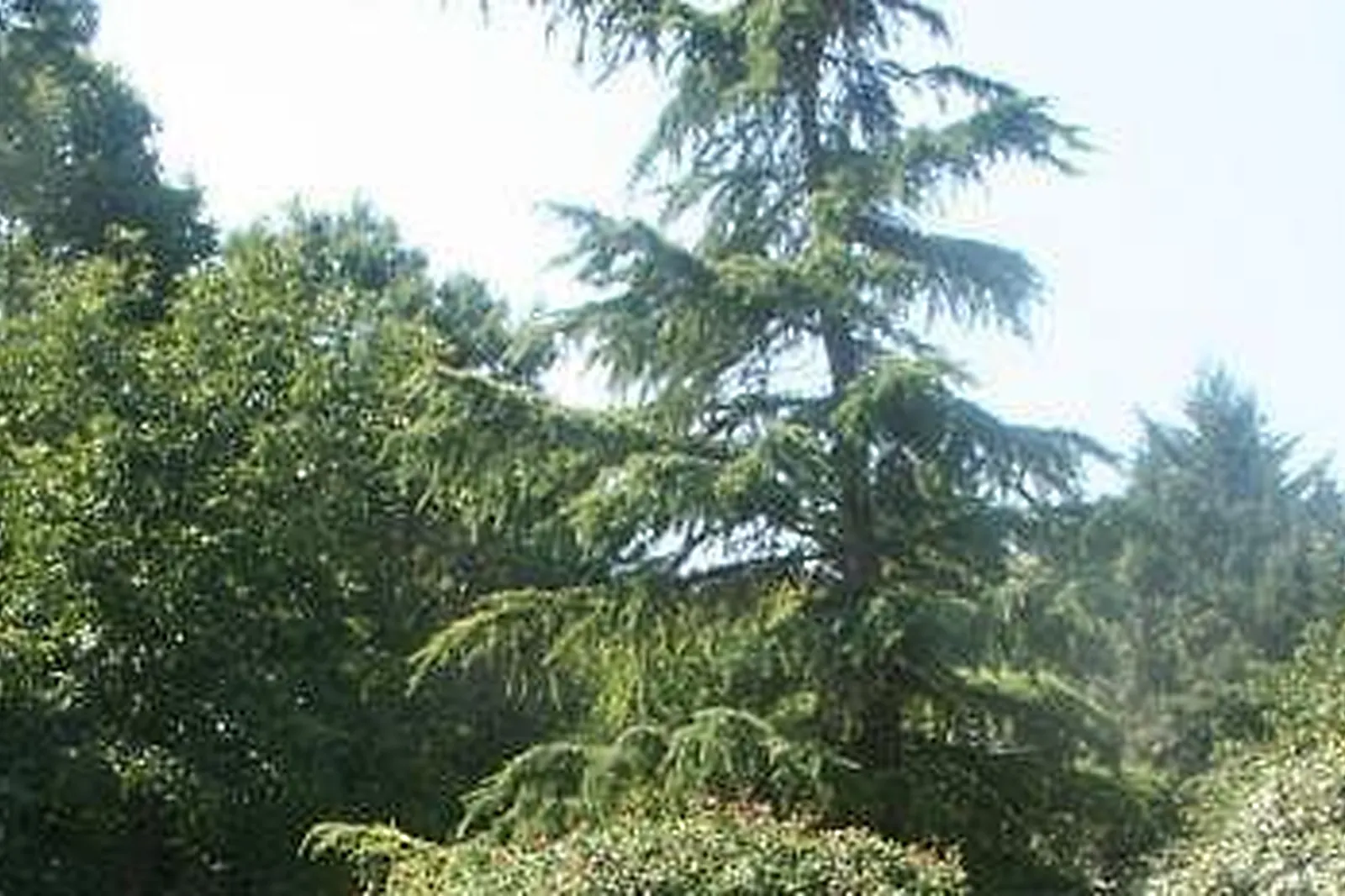 Lieux événementiels, AUBE DU MOULIN