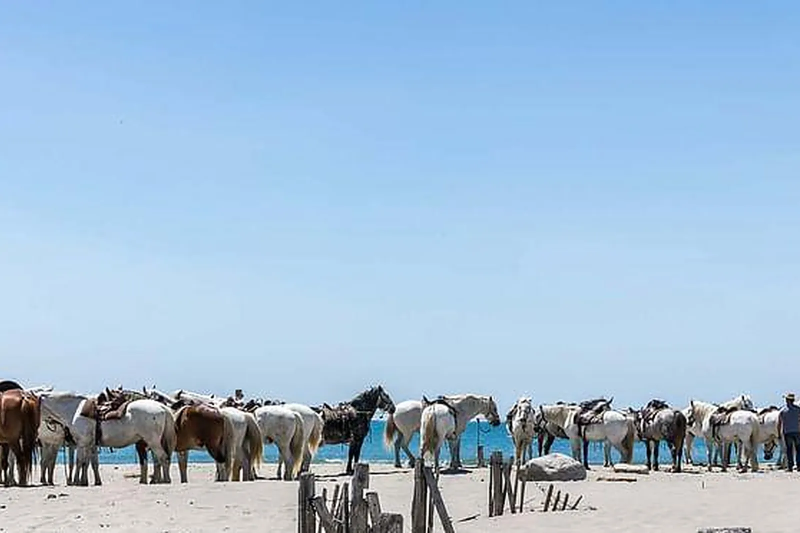 Lieux événementiels, AUBERGE CAVALIÈRE DU PONT DES BANNES ****
