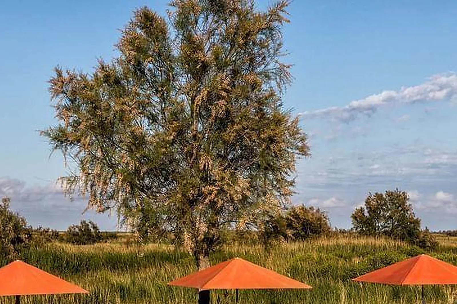 Lieux événementiels, AUBERGE CAVALIÈRE DU PONT DES BANNES ****