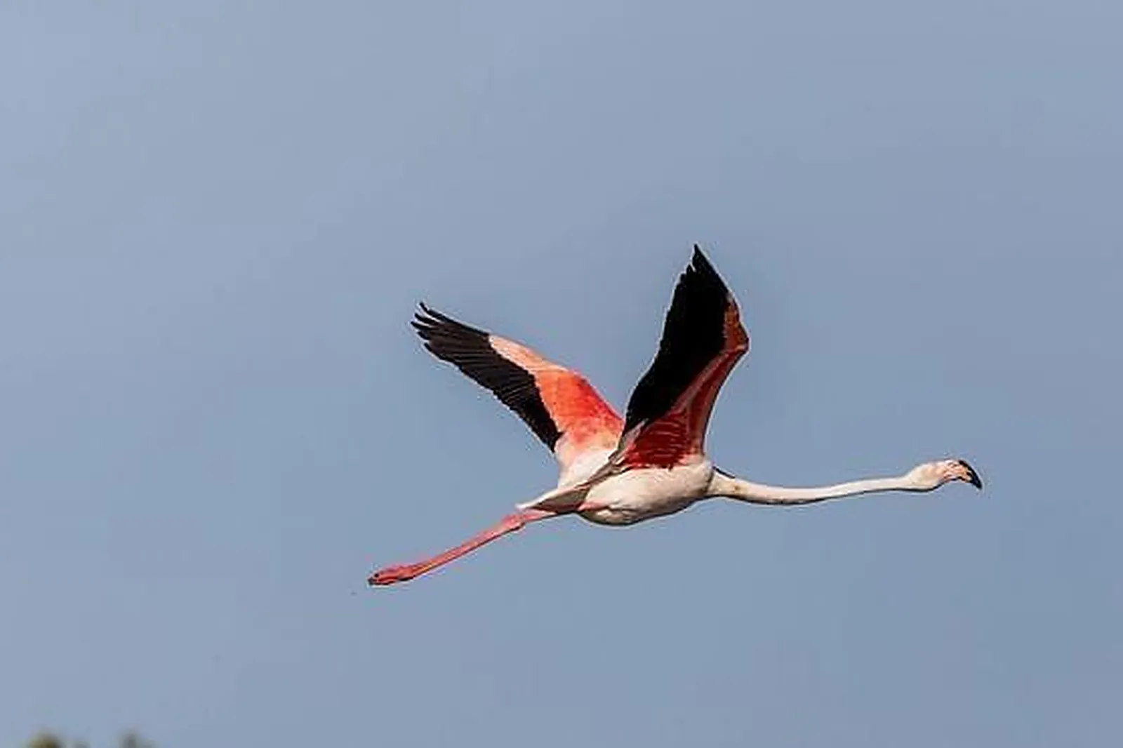 Lieux événementiels, AUBERGE CAVALIÈRE DU PONT DES BANNES ****