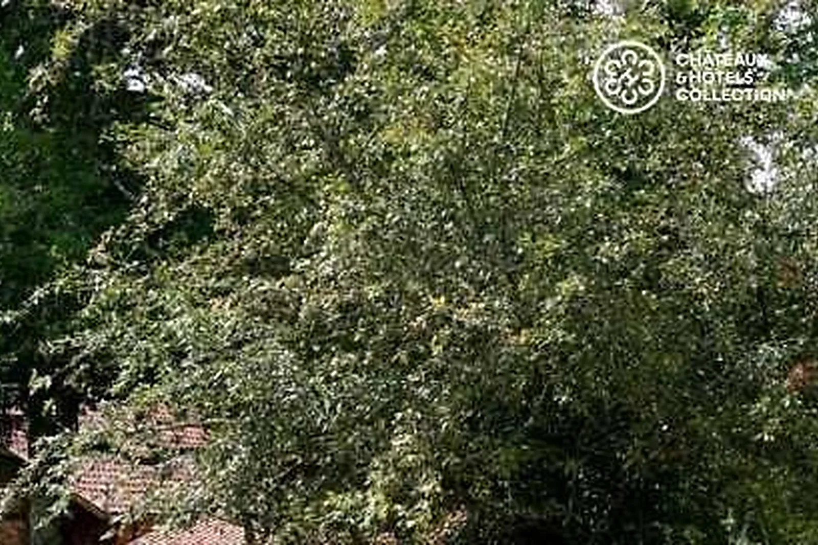 Lieux événementiels, SALLE SYNERJ