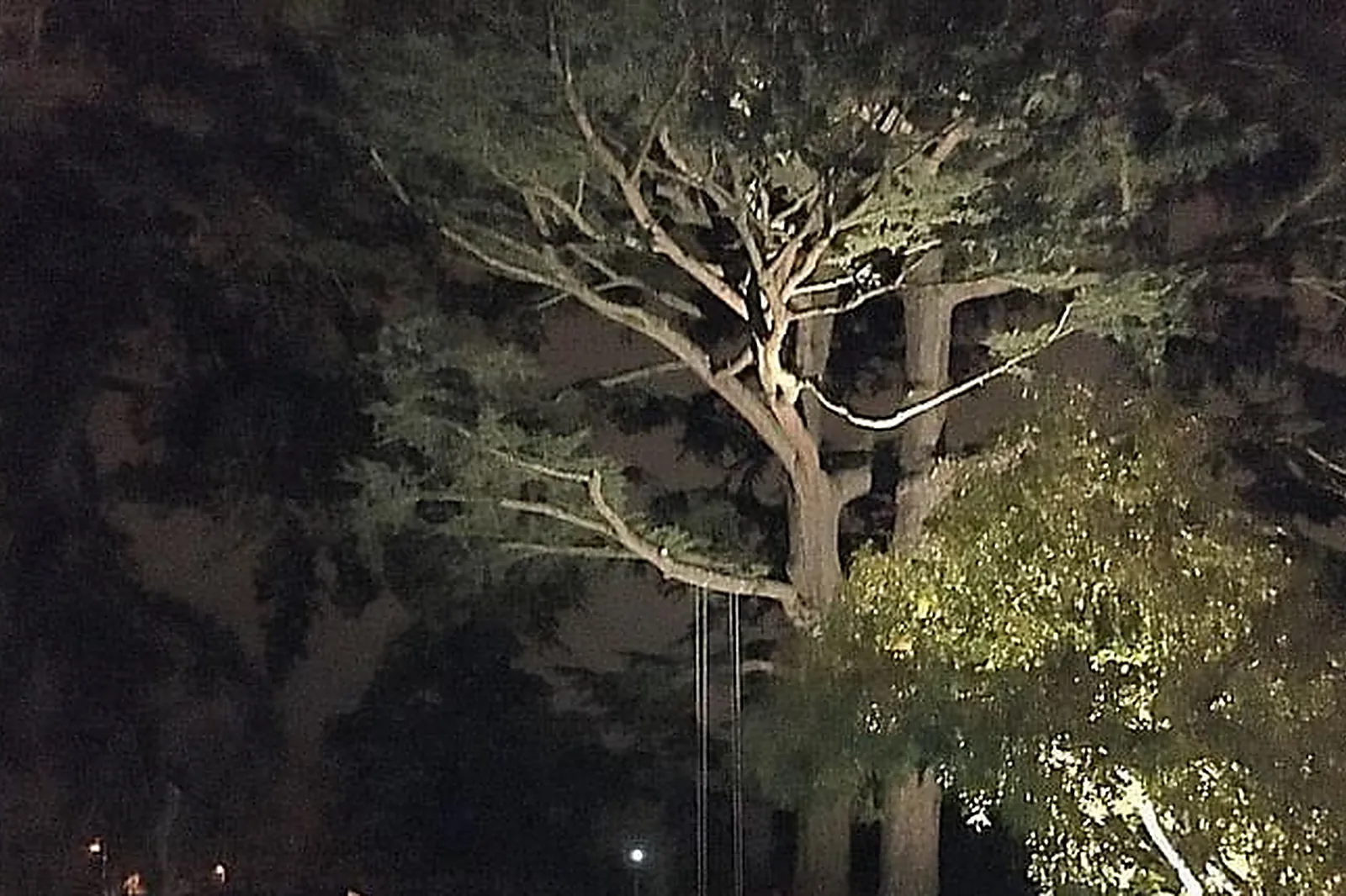 Lieux événementiels, AUX TOURELLES