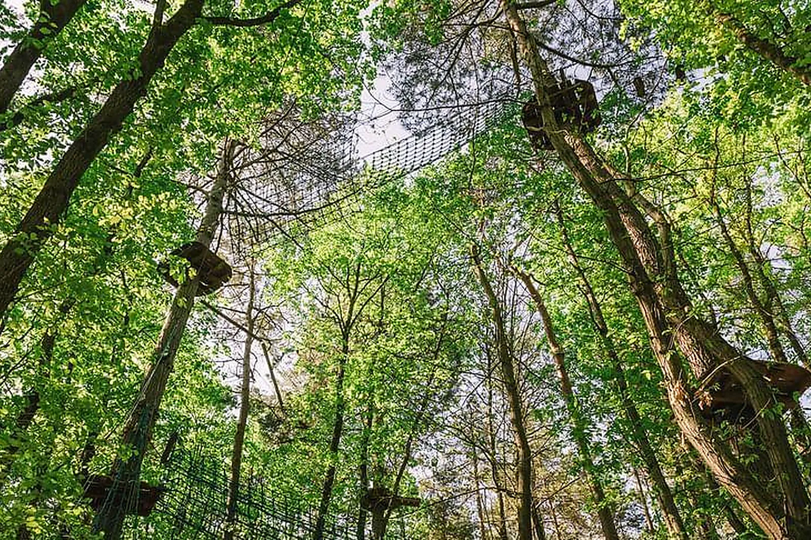 Lieux événementiels, AVENTURE FLOREVAL