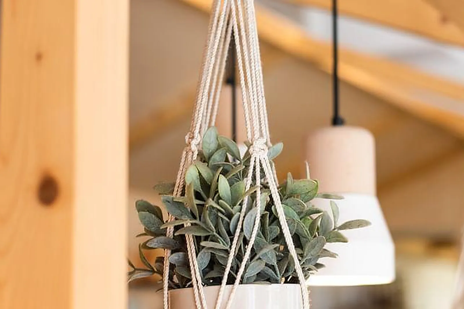 Lieux événementiels, WEASY