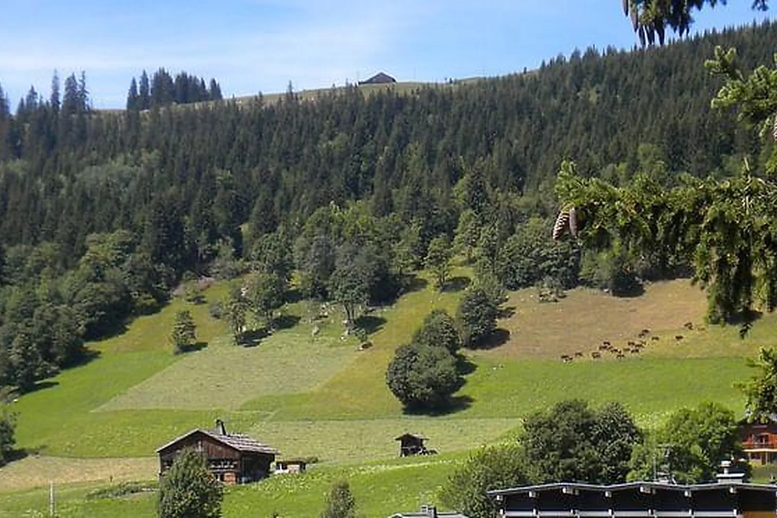 Lieux événementiels, AZUREVA LA CLUSAZ LES CONFINS**