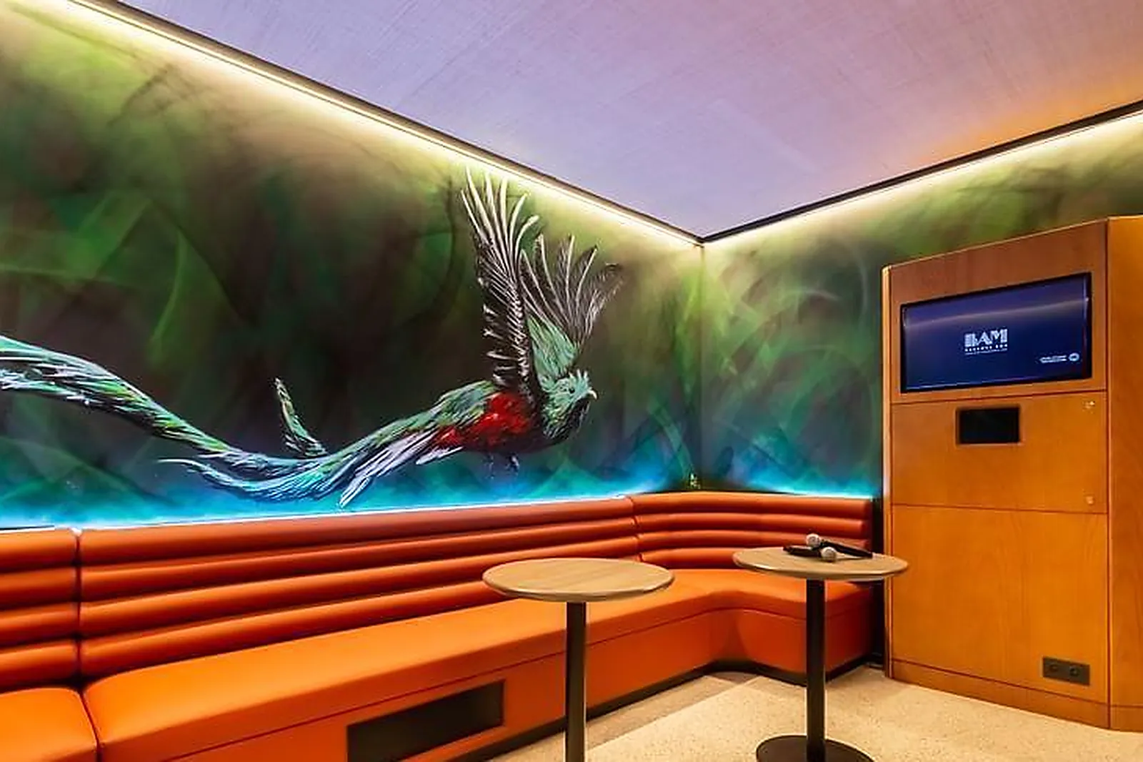 Lieux événementiels, BAM KARAOKE BOX CHARTRONS