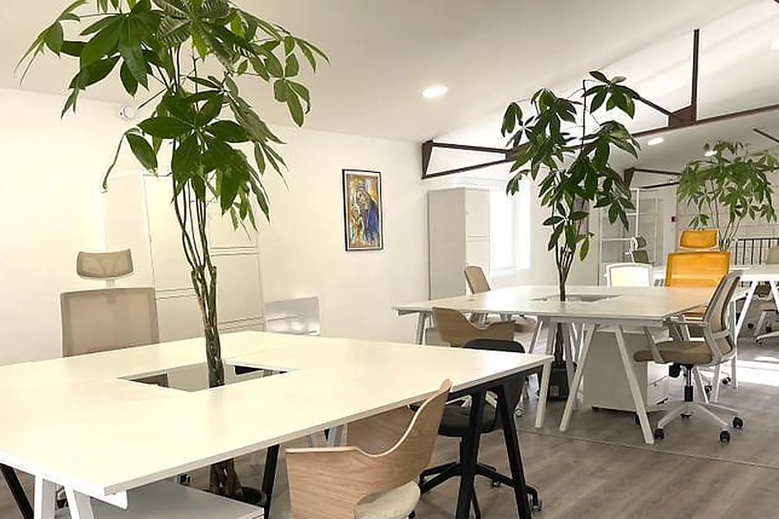 Lieux événementiels, BUREAUX PARTAGÉS