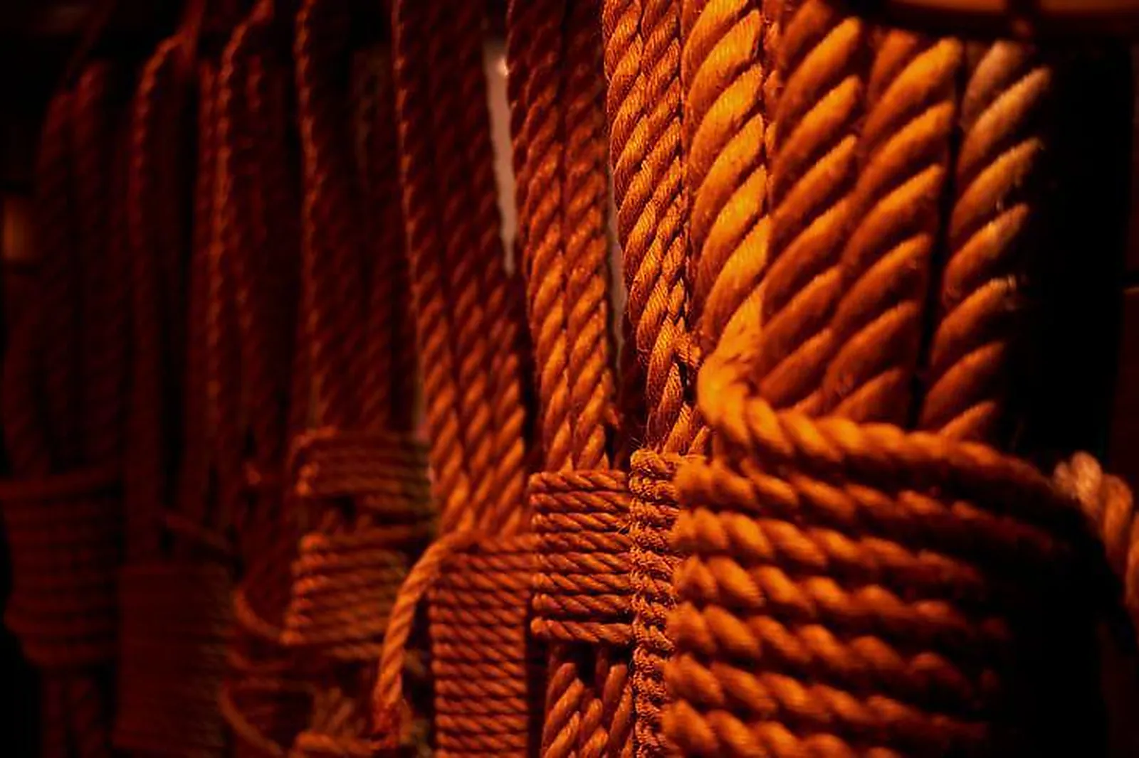 Lieux événementiels, BARRACUDA