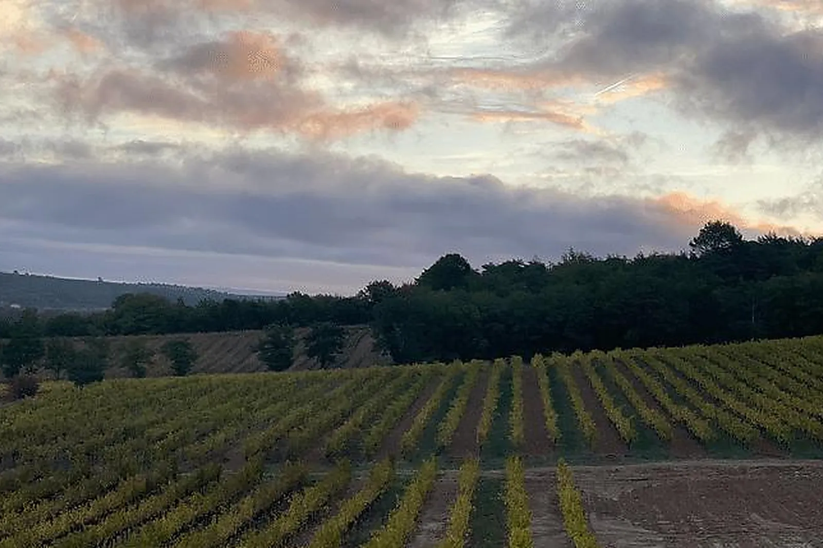 Lieux événementiels, BASTIDE DE LA MONGESTINE